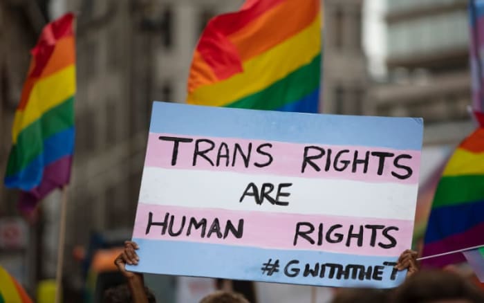 LGBTQ+ Education Can Help Create a Path to Active Inclusion and Safety