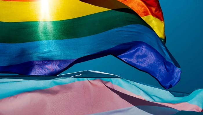 MSD | 3 Ways We Support the LGBTQ+ Community