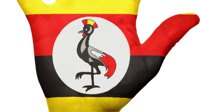 World Bank Halts New Lending to Uganda Over Anti-LGBTQ+ Law