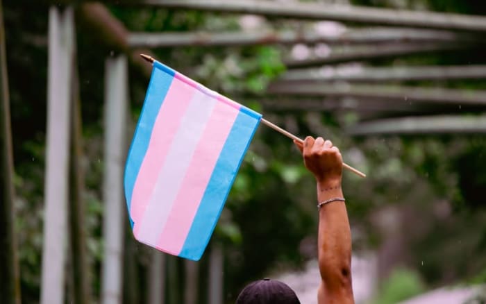 London Trans+ Pride 2024 date confirmed with slogan ‘Justice and Liberation’