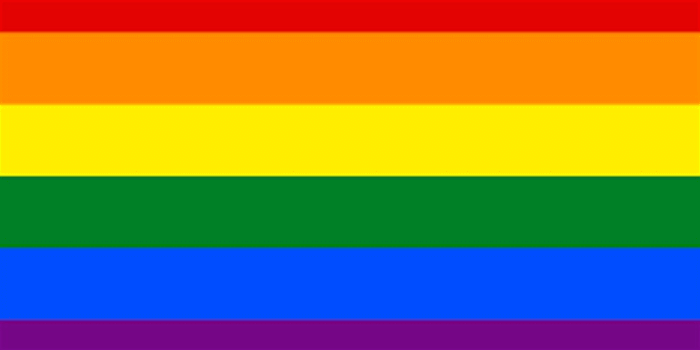 LGBT+ Affirmative Therapist Training