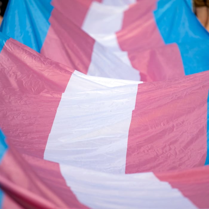 Trans Day of Visibility