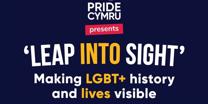 Leap Into Sight’ - Making LGBT+ history and lives visible
