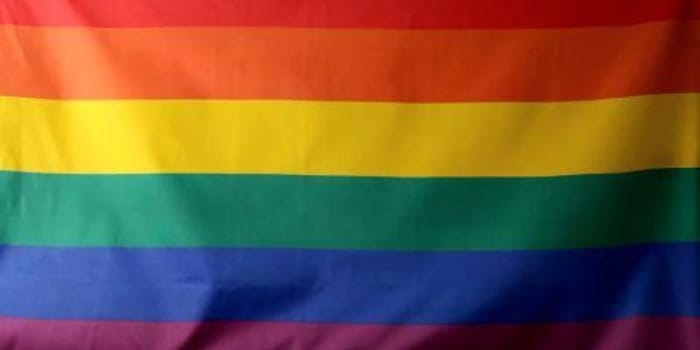 'Out and Proud' LGBT+ Role Models Exhibition