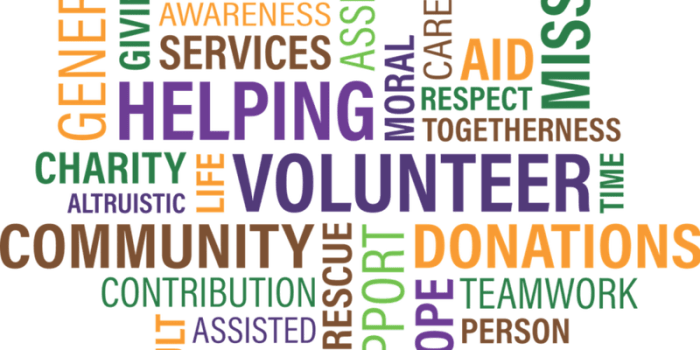 Focus on the Future III - Charities v Social Enterprise