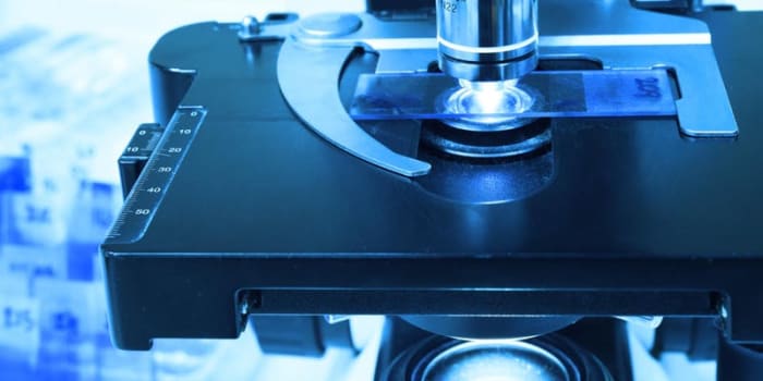Soft Skills, Hard Results: Implications for D&I in STEM