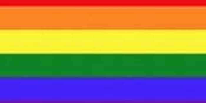 LGBT+ Regional Peer Network