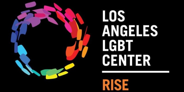 RISE Training & Coaching Intensive: Supporting LGBTQ+ Youth in Systems
