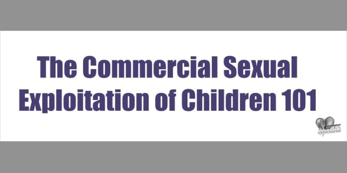 Phoenix CSEC 101 Train-the-Trainer