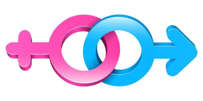 Sexual Orientation and its Histories: Limitation or Liberation?