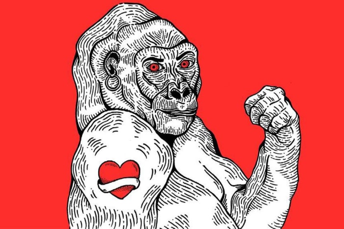 Club de lectura: Teoría King Kong