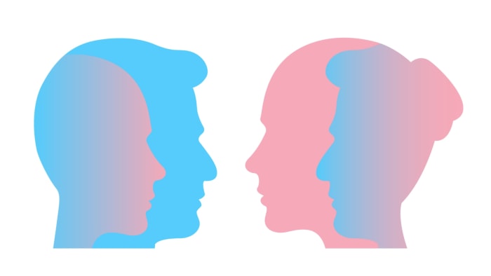 Trans Inclusion