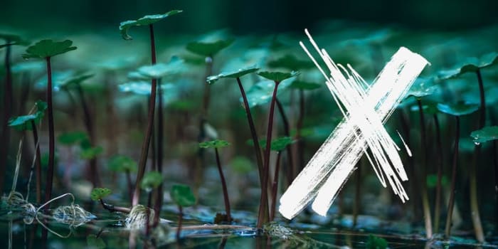 Techfestival Meetup: Danish Biotech Makers and Startups - What’s Next?
