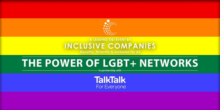 The Power of LGBT+ Networks