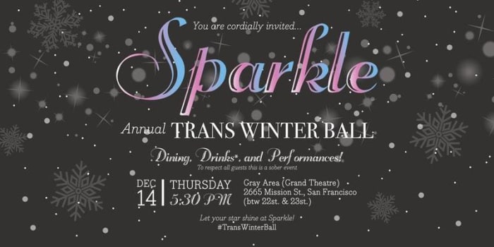 Sparkle: Annual Trans Winter Ball