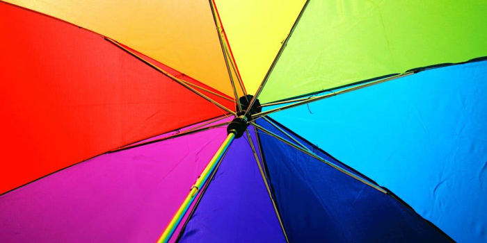 Counselling the LGBTQ+ Client