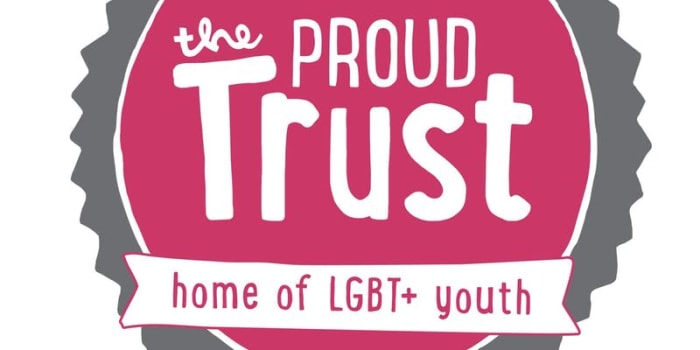 Including LGBT+ Pupils and Challenging LGBTphobic Bullying in Primary Schools