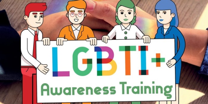 LGBTI+ Awareness Training Offaly Session
