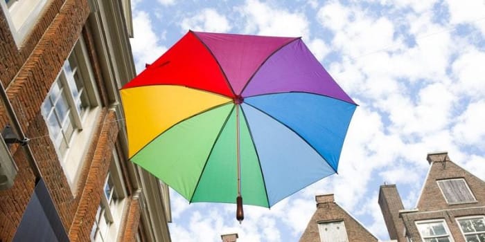 Diversiteit in liefde en politiek