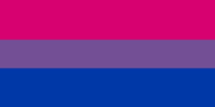 Celebrating the B in LGBT!