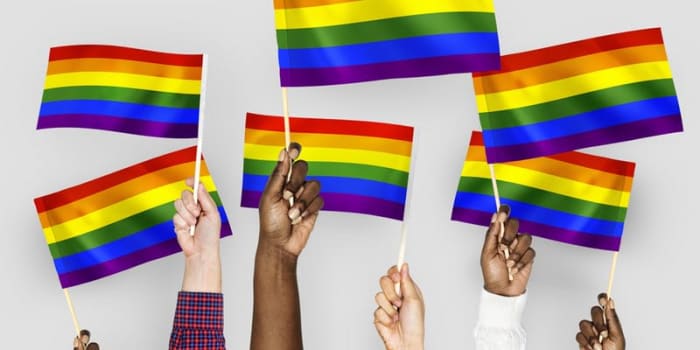 LGBT Foster Parent Support Group