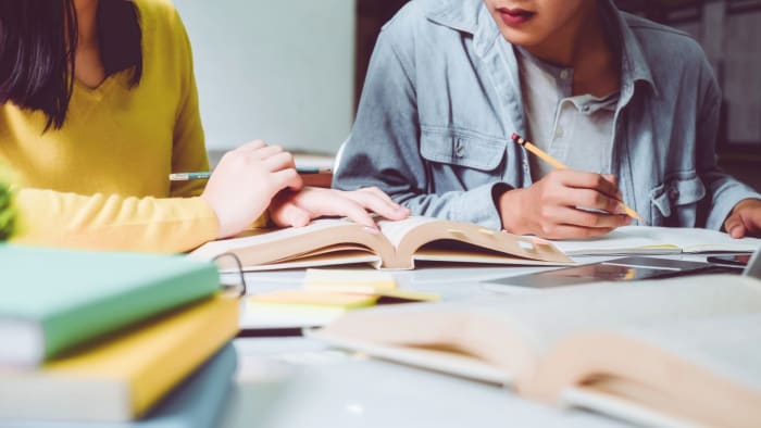 Empowering growth through mentorship: insights from Liesbeth Von den Busch