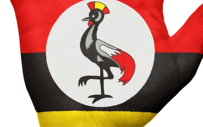 Anti-LGBTQ+ law forces climate activist to flee Uganda