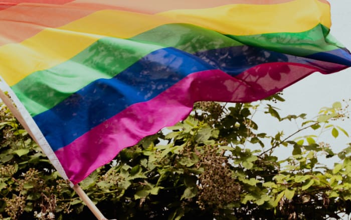 Gay MP explains why we still need Pride in powerful parliamentary speech