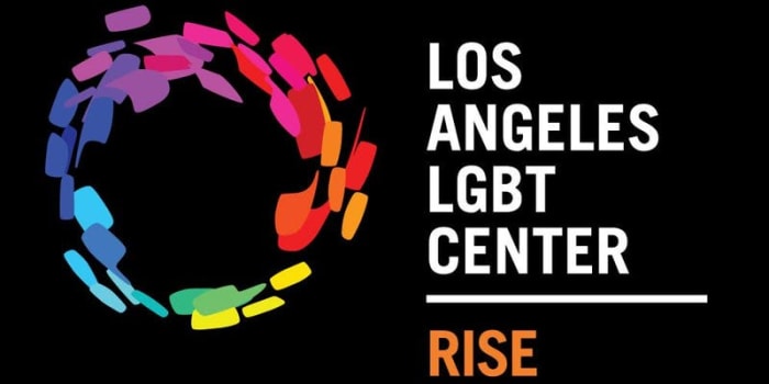 RISE Training & Coaching Intensive: Supporting LGBTQ+ Youth in Systems