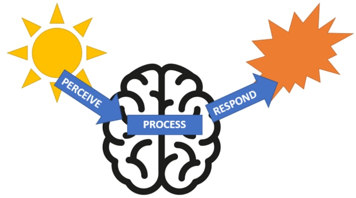 Exploring Neurodiversity - We Are All Wired Differently