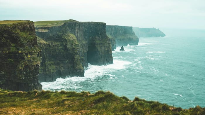 Science on the Irish Coast: MSD Is Hiring in Dundalk and Across Ireland