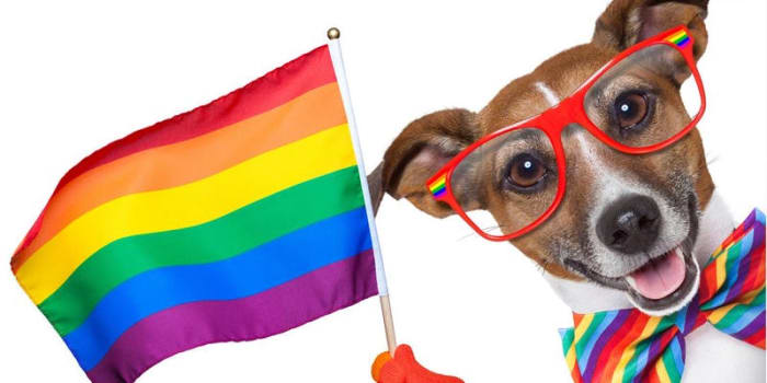 1st Annual Holiday Party - Wine and Dessert Meetup for LGBT + Allies
