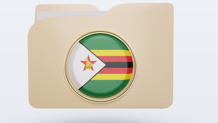 Zimbabwe Advocacy Groups Seek Inclusion In Country’s Elections