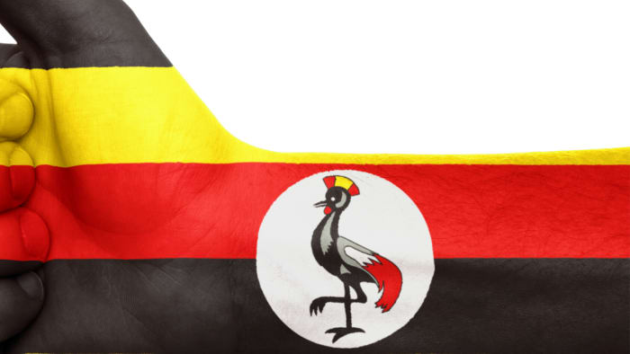 Uganda’s Anti-LGBTQ+ Law Causing Wave of Rights Abuses, Activists Say