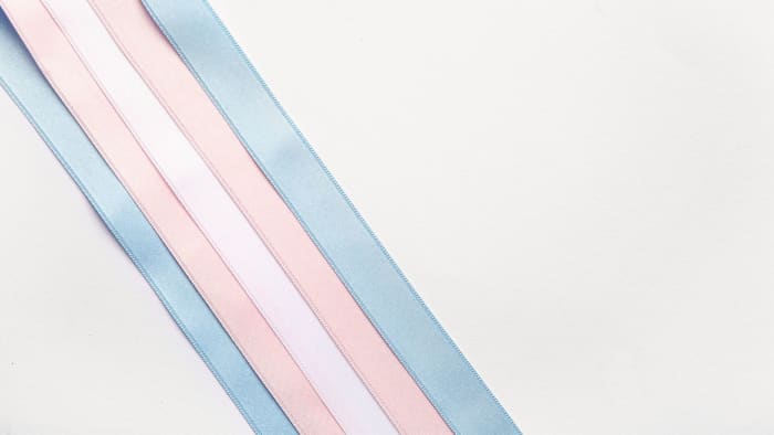Trans+ History Week: Remembering trans lives across time
