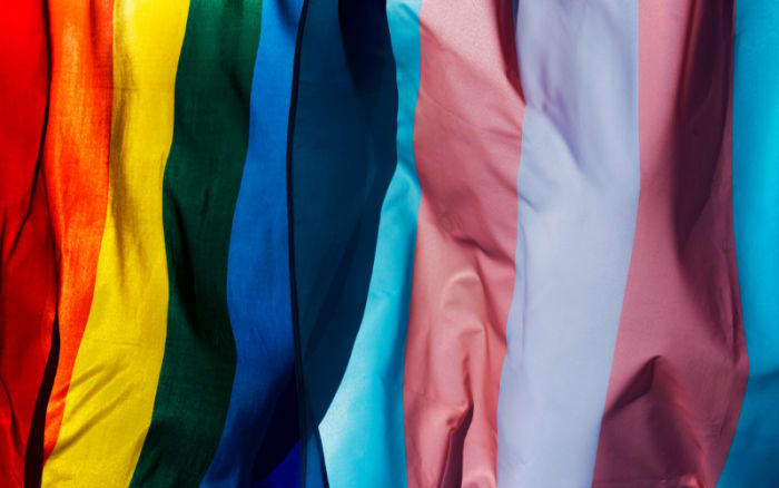 Actor Ncuti Gatwa Comes Out as Queer