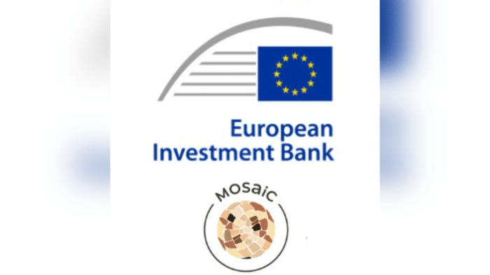 Ethnicity Matters at the European Investment Bank (EIB)