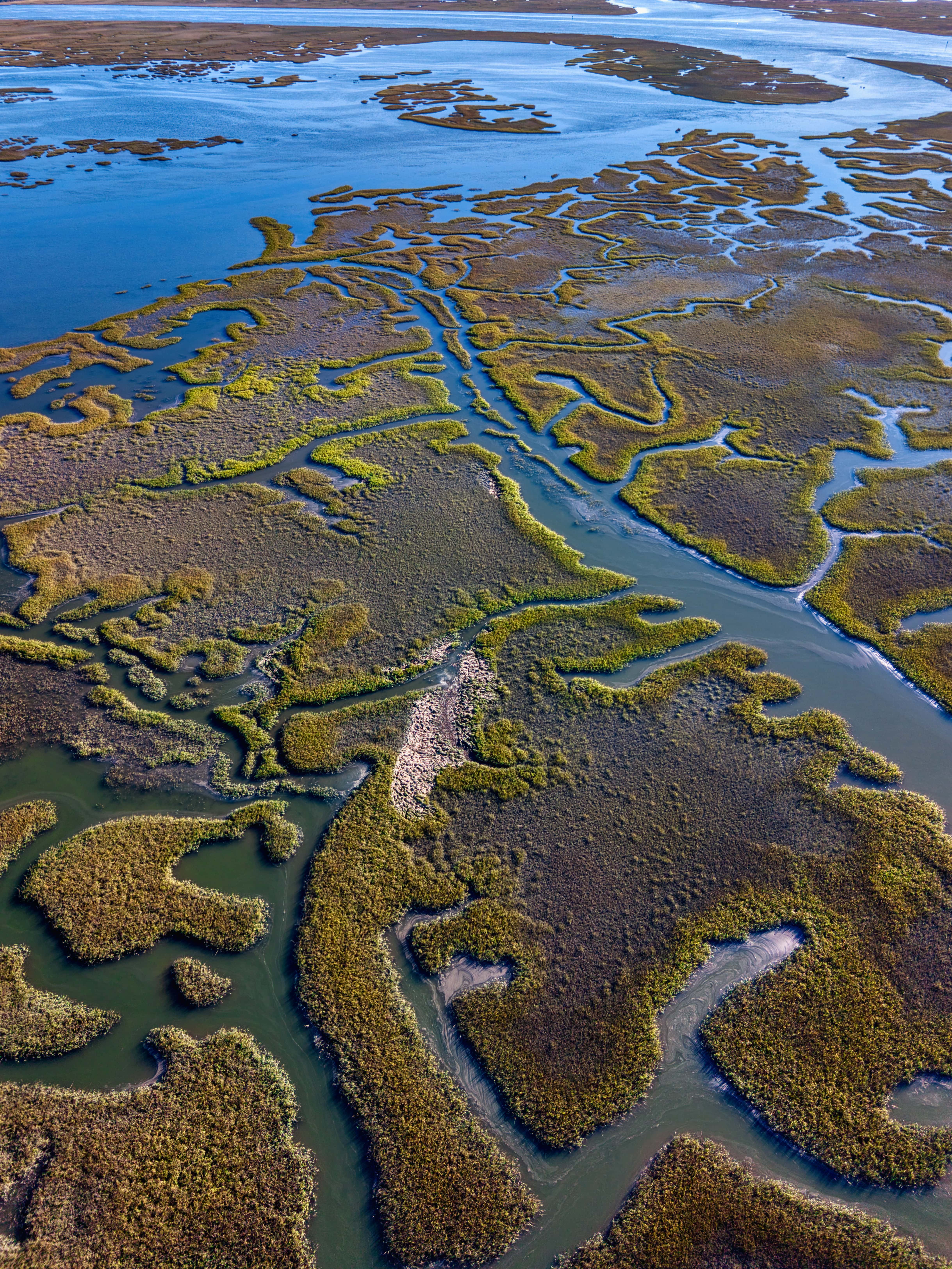 Personal aerial drone landscape photography Fernandina Beach FL
