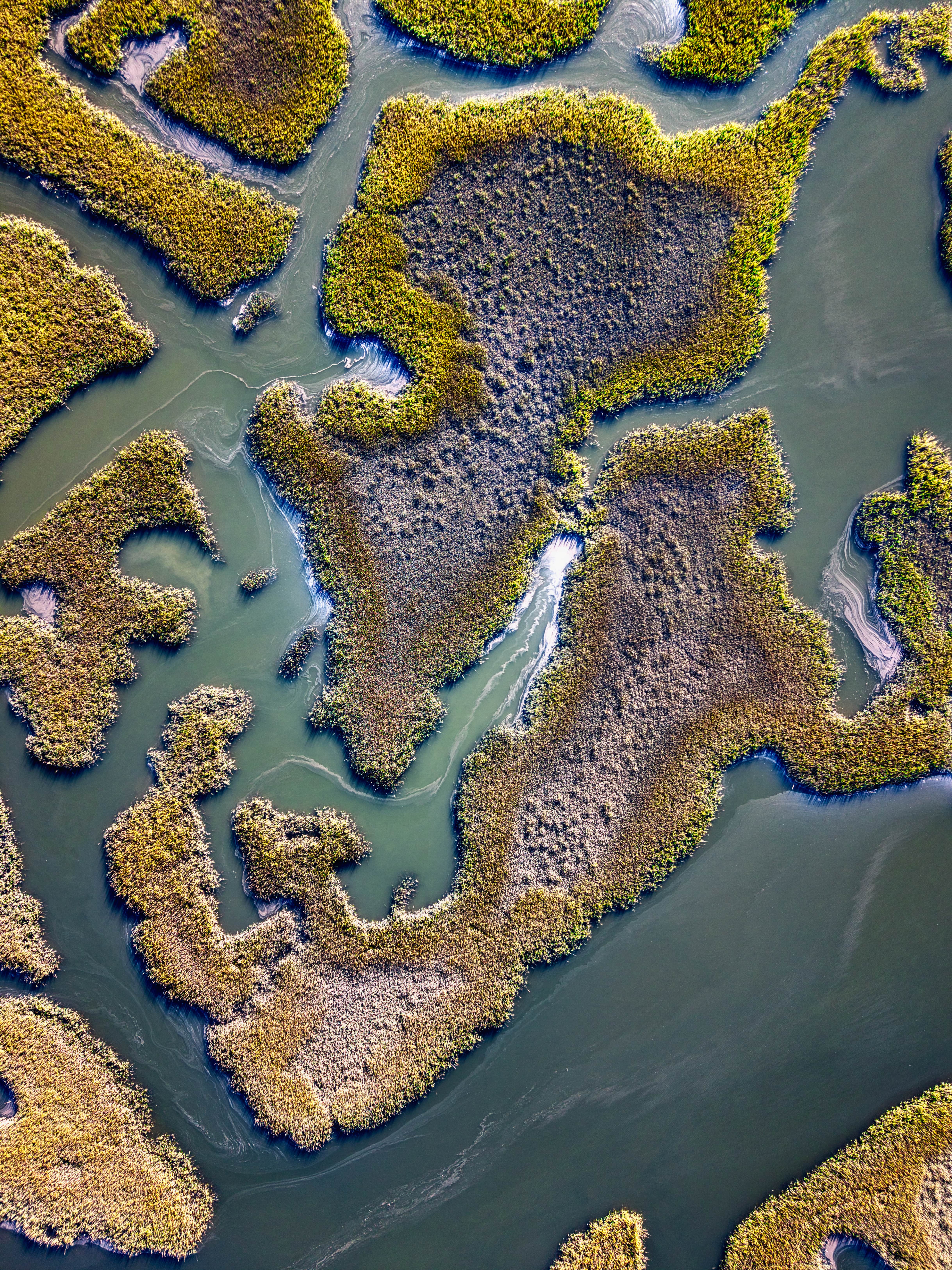 Personal aerial drone photography Amelia Island FL