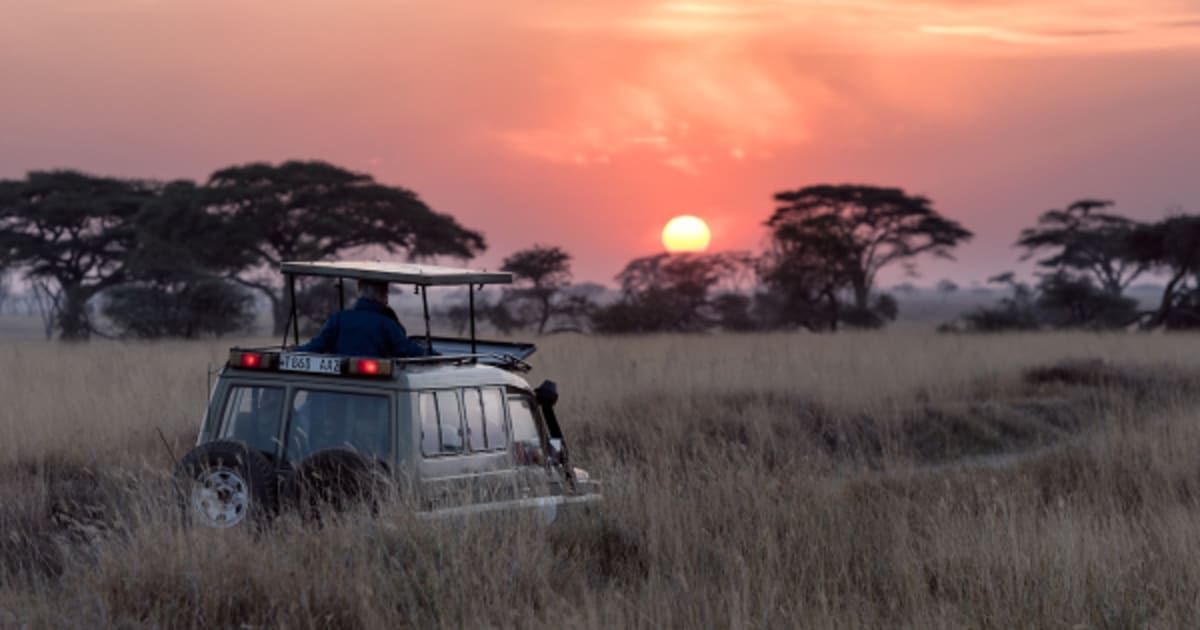 Safari cynégétique en Afrique australe : lodges, espèces et art de vivre