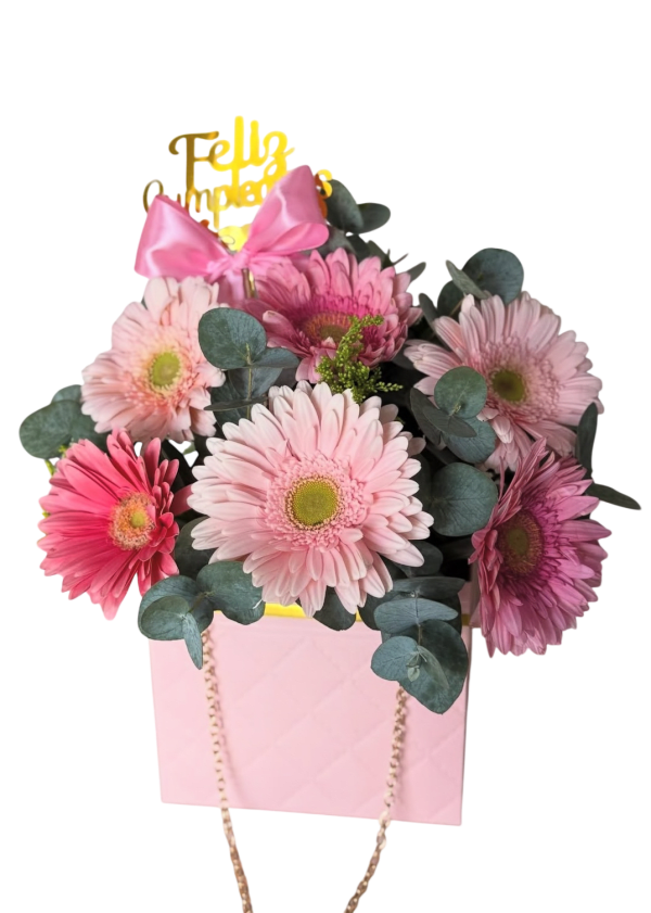 Box de Gerberas