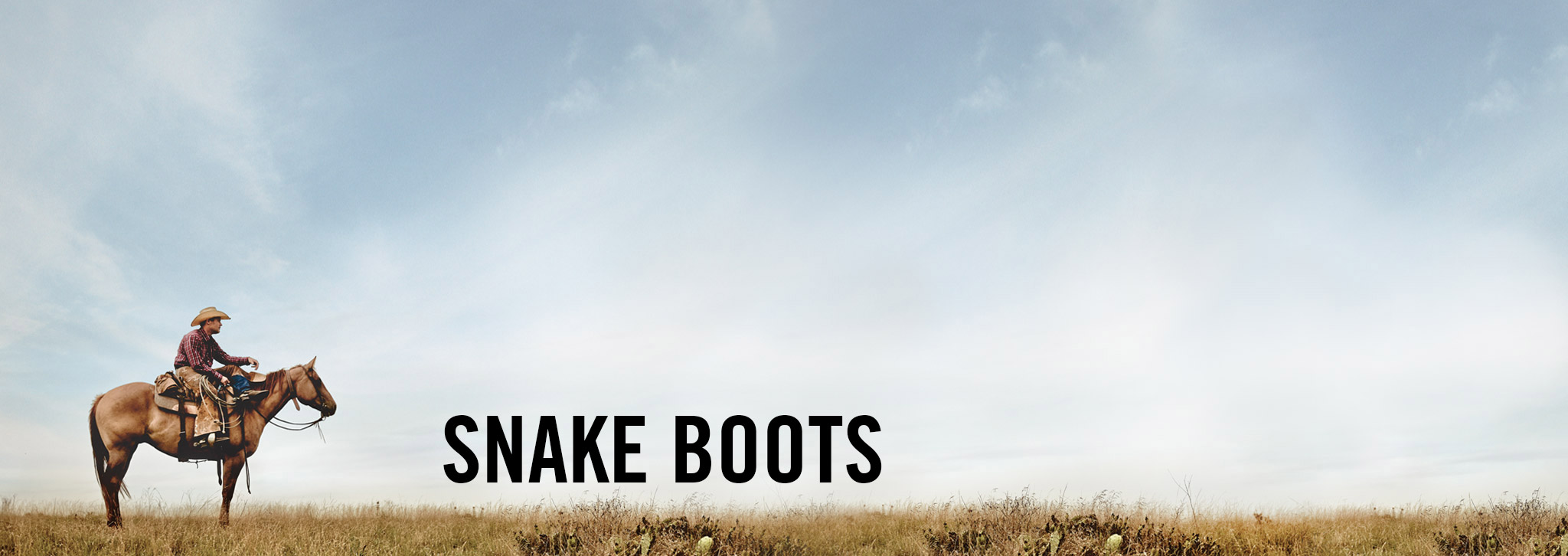 Justin Boots Snake Boots