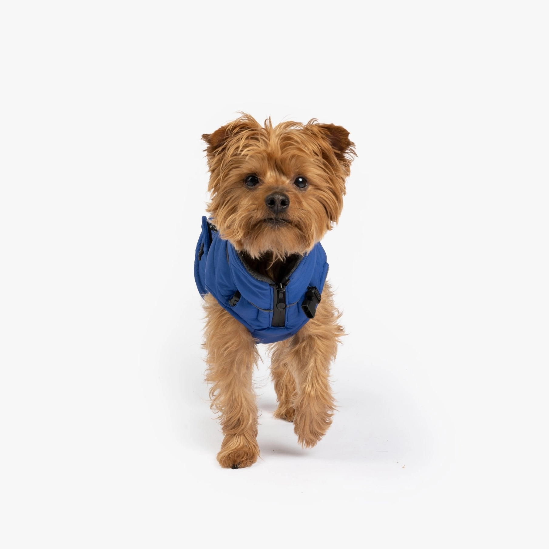 Monty Dog Jacket – Silver Paw
