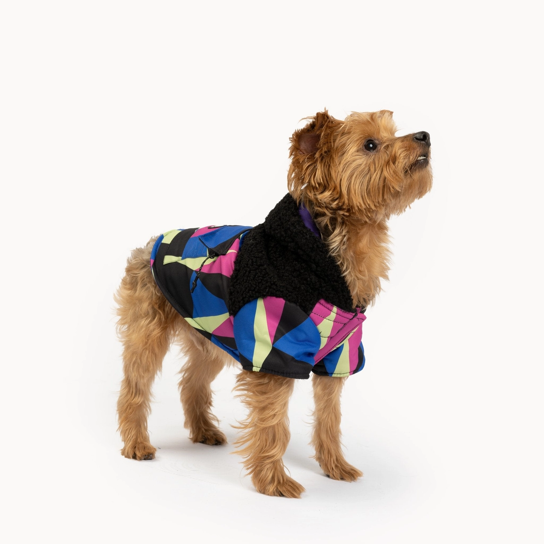 Ingo Dog Jacket – Silver Paw