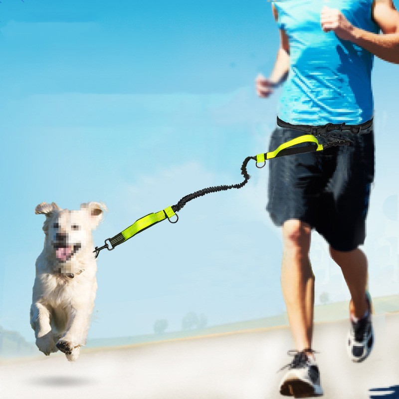 Multifunctional Running Dog Leash