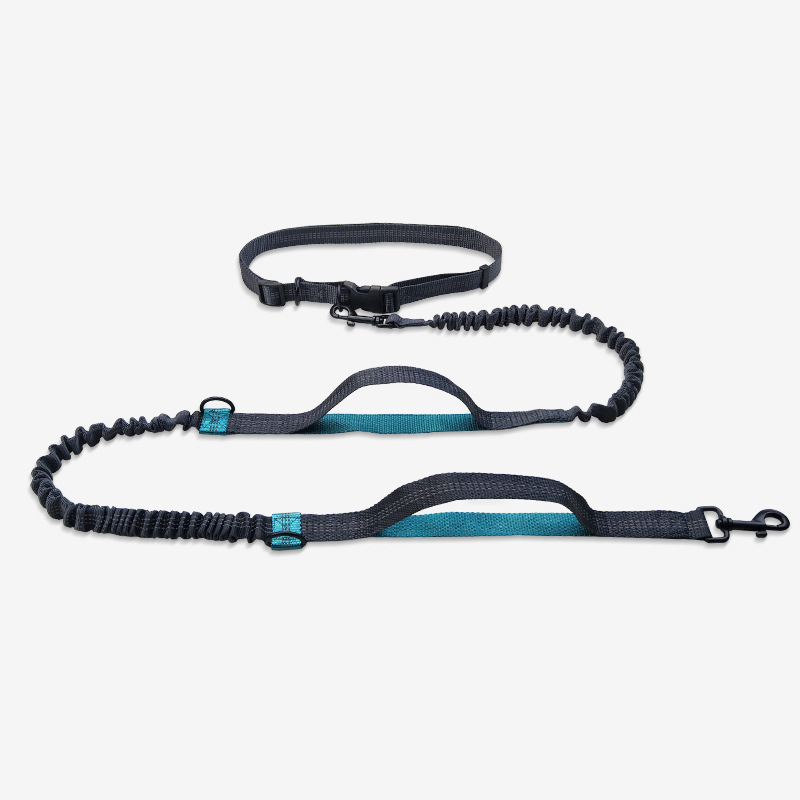 Multifunctional Running Dog Leash
