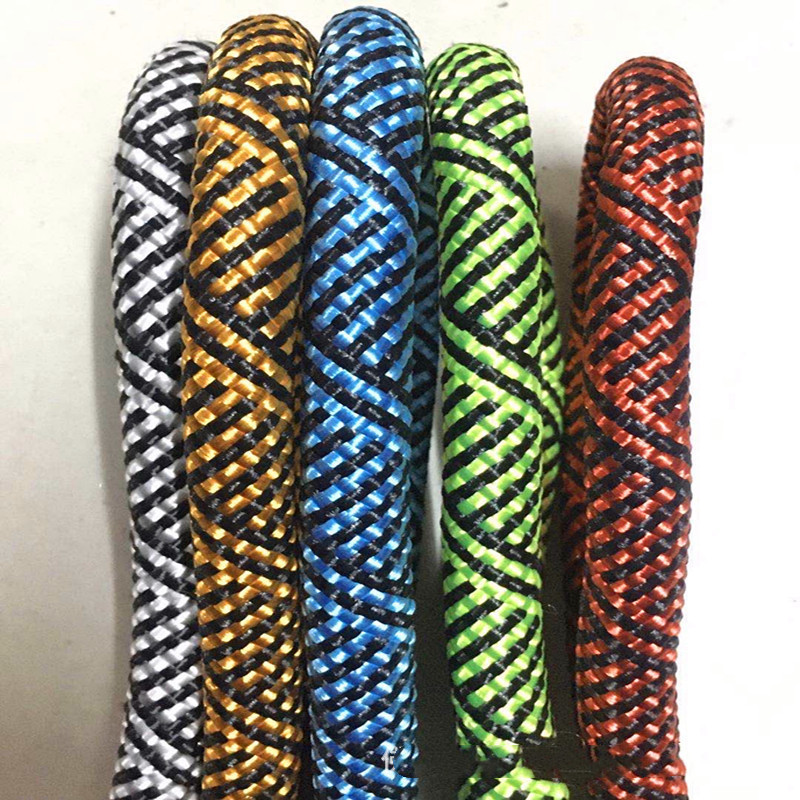 Dog Training Leash