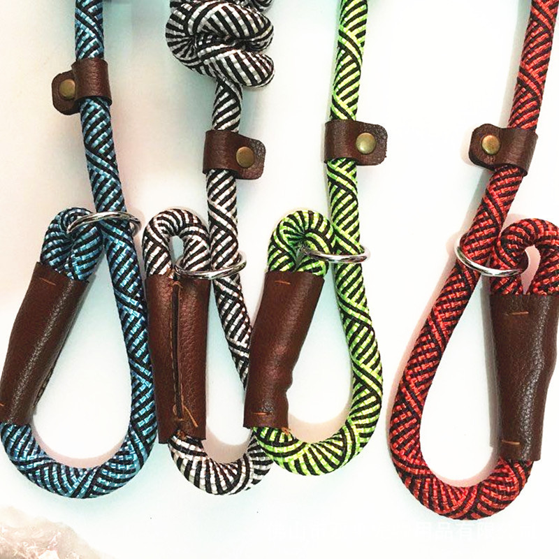 Dog Training Leash