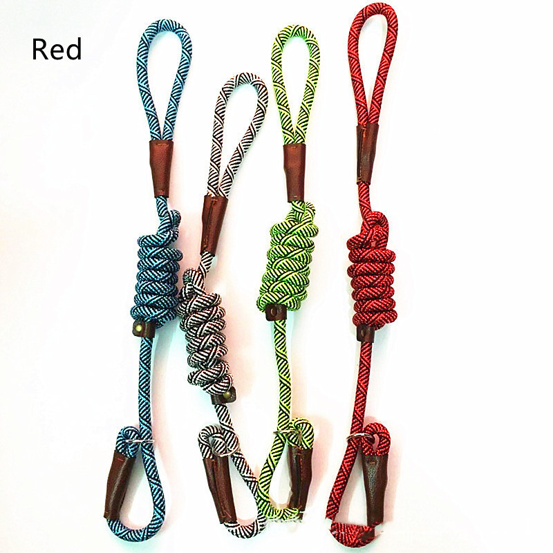 Dog Training Leash