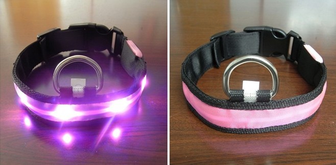 Night safety LED dog collars glowing in the dark